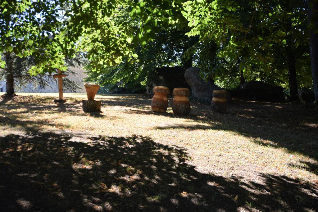 Domaine De La Rocque Bed & Breakfast Liorac-sur-Louyre Exterior foto